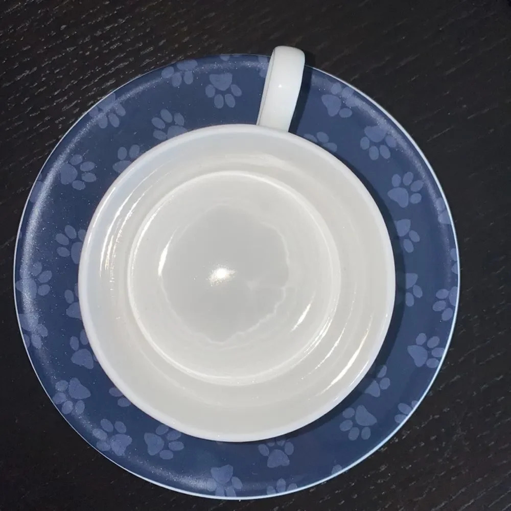 Cat lovers👆Ashdene Peeping Felines cup & saucer - Picture 5 of 9